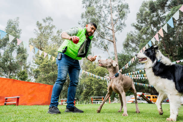 A dog with a hat at a festival