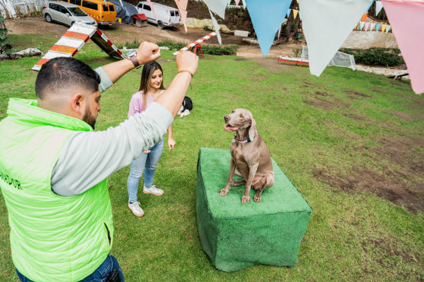 Dog trainer teaching a dog at training camp
