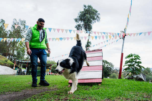 Dog trainer teaching a dog at training camp