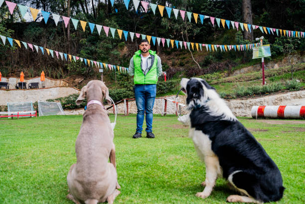 Dog trainer teaching a dog at training camp