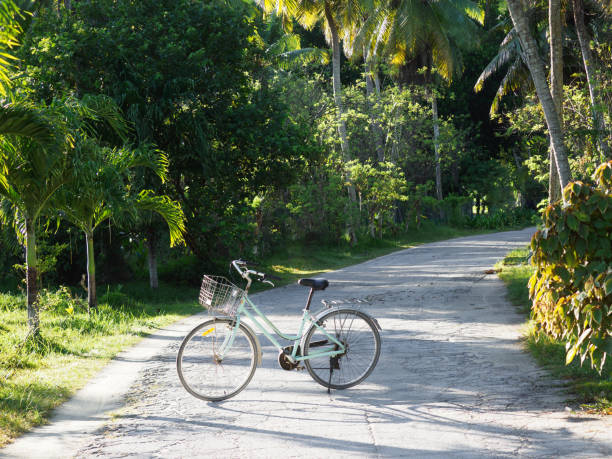 Vintage bicycle against palm trees background. No people. Beautiful views and sights of Seychelles. Clear, sunny day. Concept of leisure and travel