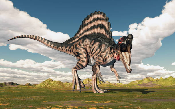istock Dinosaur Spinosaurus in a landscape 2188194721