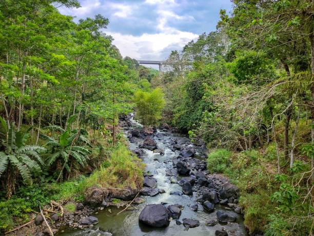 istock Serene River Flowing Through Lush Green Tropical Forest Landscape 2188197516
