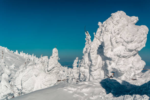 istock Wind-swept frozen trees on a bitterly cold mountain 2188205689