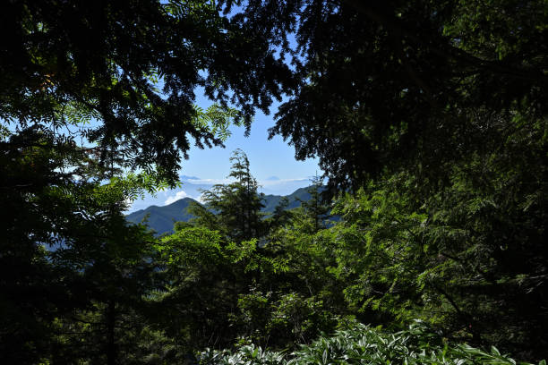 istock Climbing Mt. Tsubakuro, Nagano, Japan 2188206529