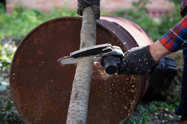 istock A man in gloves saws a wooden tree trunk with a saw. 2188208479