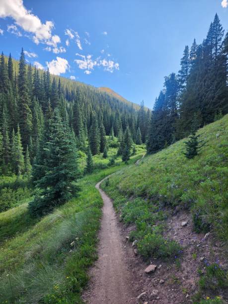 Summer in Aspen, Colorado