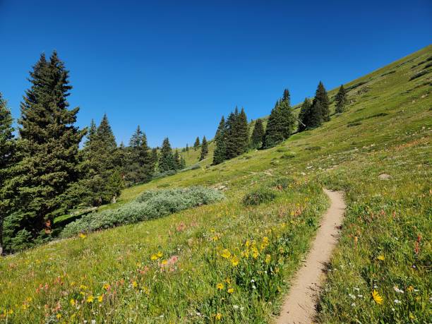 istock Summer in Aspen, Colorado 2188209478