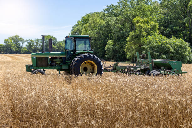 A tractor working in a vast agricultural field at sunset  in Queensland, Australia, with yellow cotton bales lining the horizon. Ideal for concepts of farming, agriculture, and harvest.