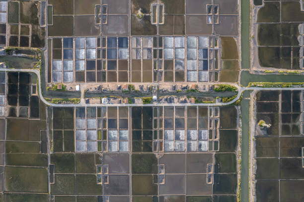 Aerial view of the seaside salt pond base