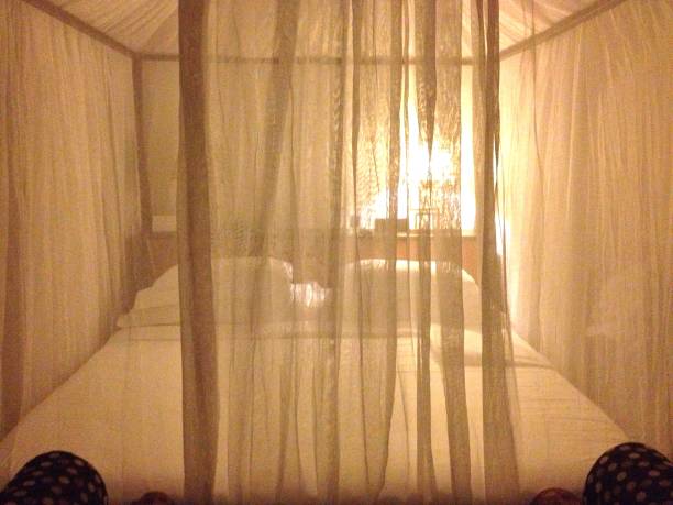 istock Bed covered with tulle in hotel room. Bedroom. 2188212484