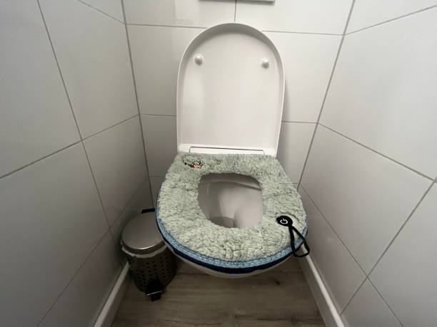 istock Warm, soft, fluffy toilet seat 2188219582