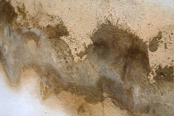 istock cement texture background applied on a wall to cover a crack 2188223346