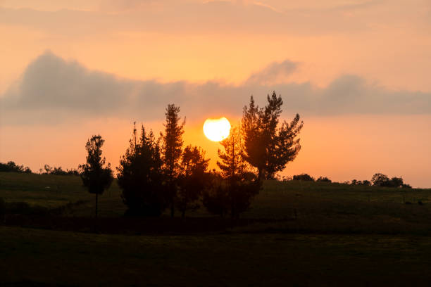 Sunset in the countryside with an intense red sun