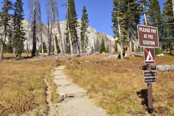 istock Start Of Medicine Bow Peak Trail 2188229395