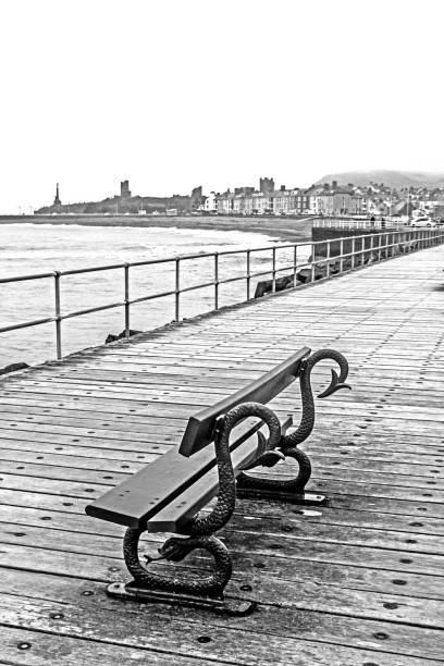 istock Decorative serpent shaped, benches at Aberystwyth in Wales in Black and White 2188234811