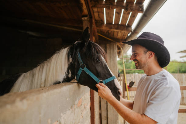 istock At the horse ranch 2188235740