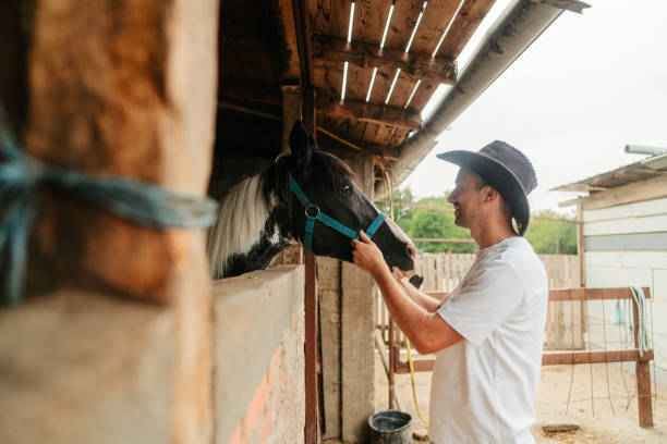 istock At the horse ranch 2188235748
