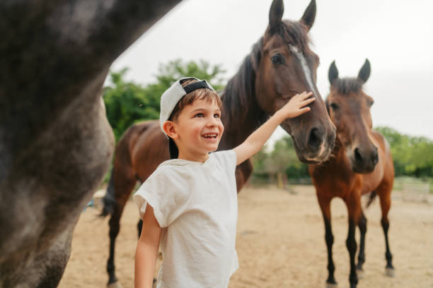 istock Little boy at the horse ranch 2188236272