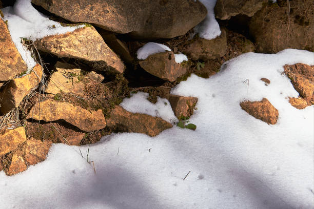 istock A stone wall surrounded by snow and vegetation 2188236371