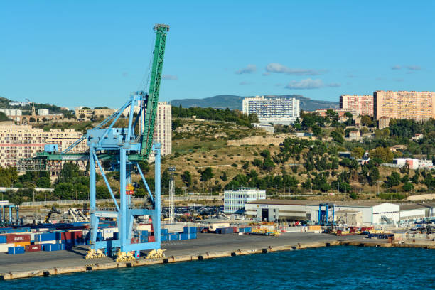 Large cactus plant with in the background the pier with lighthouse in the nice harbor seen from the hill Colline du Château in Nice in France