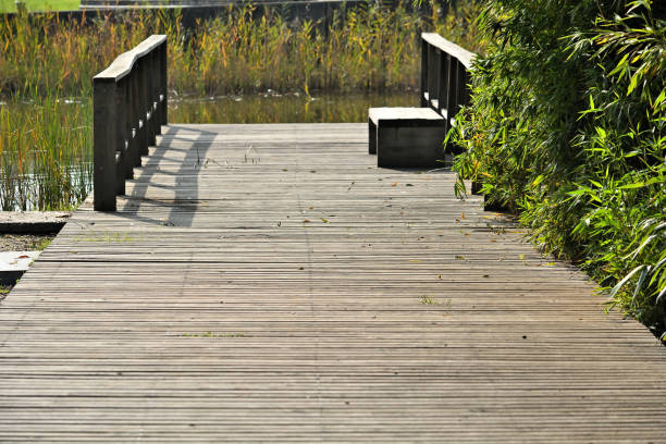 istock World of wood in functional & decorative items 2188237774