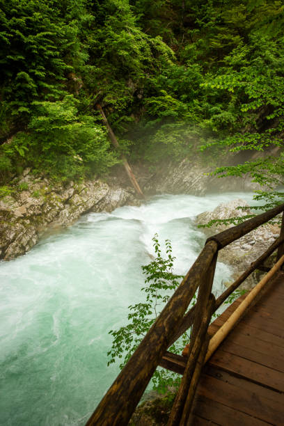 istock Beautiful Vintgar canyon in Slovenia 2188238808