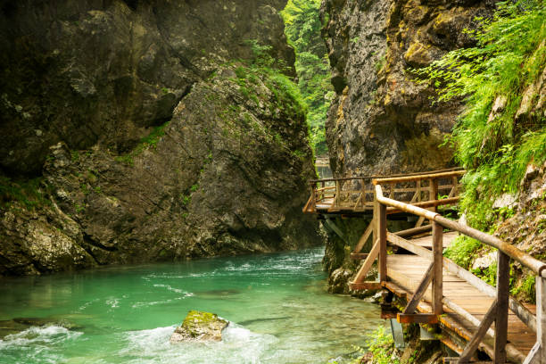 istock Beautiful Vintgar canyon in Slovenia 2188238942