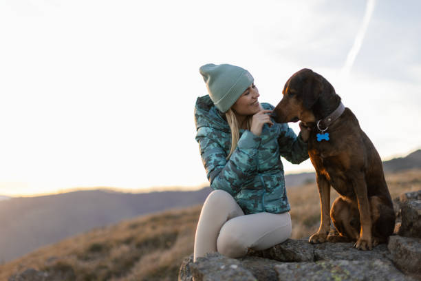 istock Woman with her dog taking a break from hiking 2188241238