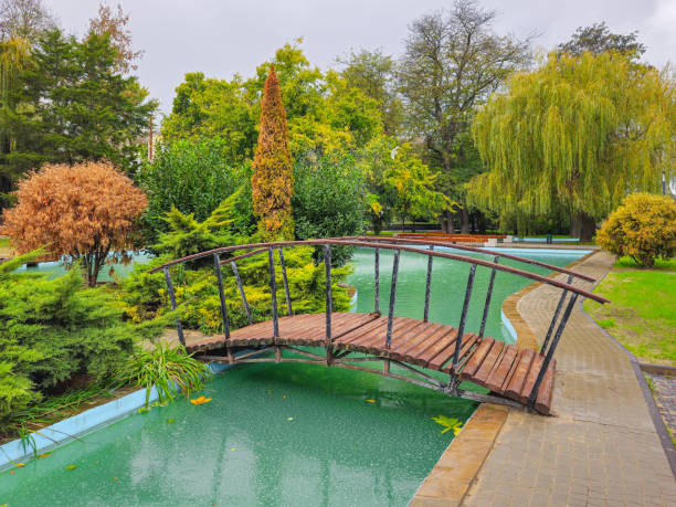 Reflection of small bridge and trees in calm pond