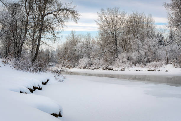 Winter wonderland on the riverbank