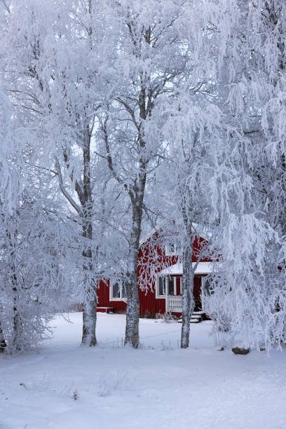 istock Red house in Sweden in winter 2188242047