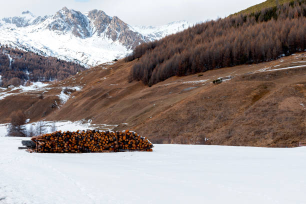 A serene winter scene featuring neatly stacked logs on a snow-covered field, framed by rugged mountain peaks and brown, forested hillsides under a cloudy sky. The contrast of the woodpile against the vast white snow enhances the rustic beauty of this alpine setting.