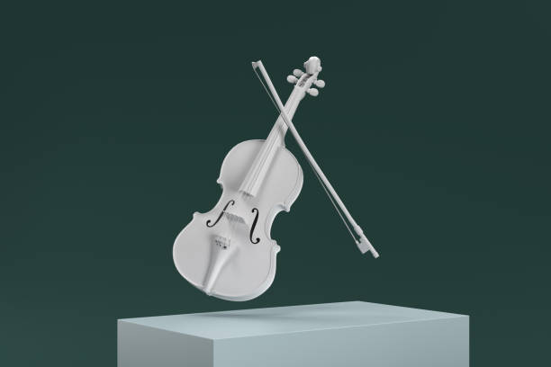 A boy playing the stringed and bowed musical instrument, the violin, captured from behind