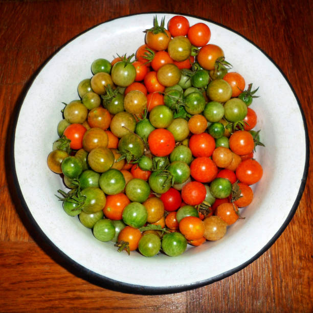 istock Freshly Harvested Autumn Tomatoes 2188253034