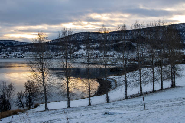 Curve of Kwaefjord, linded by landscape covered by snow in the time of sunset. Cloudy sky with little sunny spots, reflected on the water. Trees and bushes. Nupen, Norway.