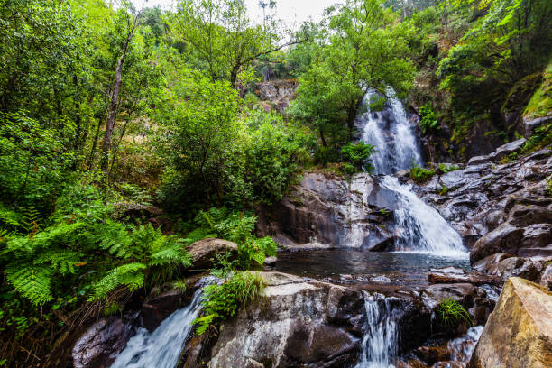 istock A cascading waterfall surrounded by lush greenery, with a small pool at the base 2188259041