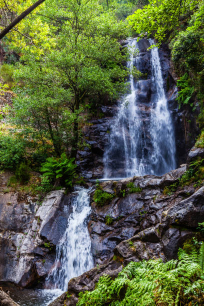 istock A cascading waterfall surrounded by lush greenery, with a small pool at the base 2188259042