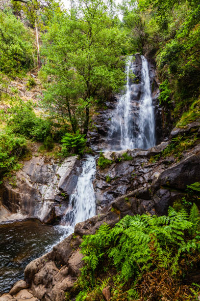 istock A cascading waterfall surrounded by lush greenery, with a small pool at the base 2188260888