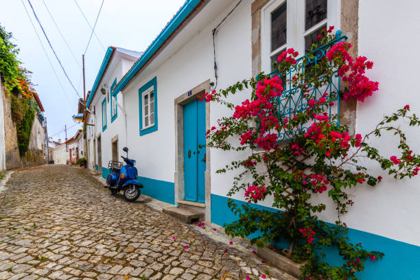A narrow cobblestone street winds through a charming village, lined with traditional stone houses and lush greenery