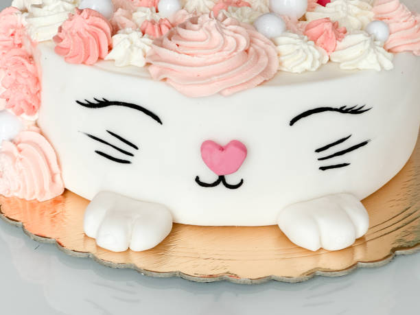 Cute homemade cat-shaped cake