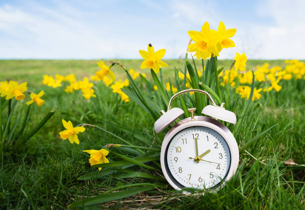 istock Alarm clock with daffodils flowers, switch to daylight saving time in spring, summer time changeover 2188264295