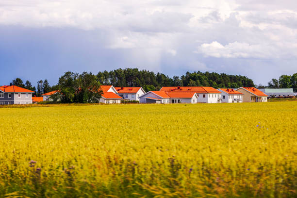 Village with red-roofed villas surrounded by yellow rapeseed fields under cloudy sky. Sweden.