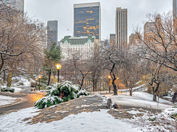 Central Park in winter after snow early in the morning