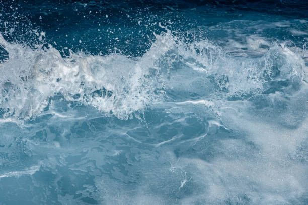 istock An ocean wave crashing, with wind blowing back the spray. 2188278879
