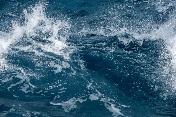 istock An ocean wave crashing, with wind blowing back the spray. 2188278909