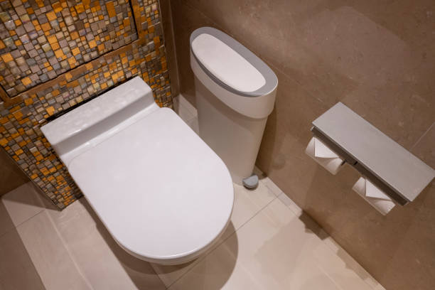 istock Toilets in luxury hotel bathrooms 2188283140