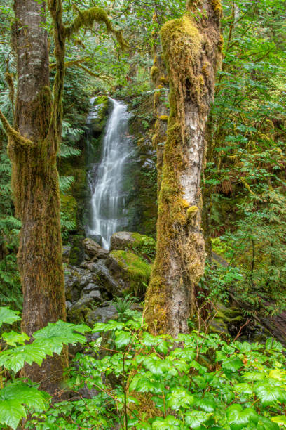 Stocking Creek Falls in Ladysmith, BC.
