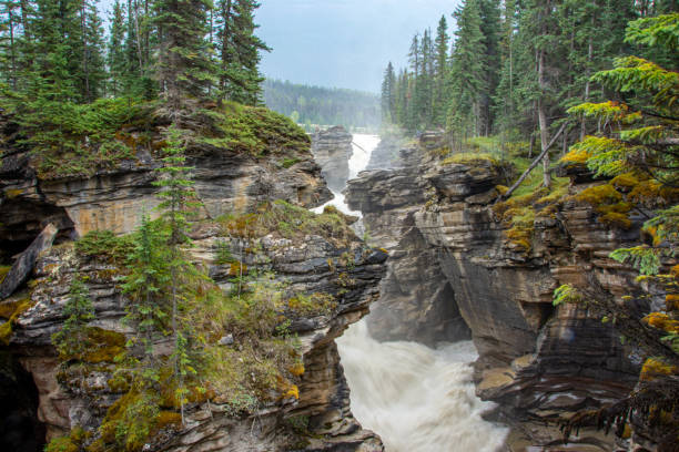 istock Athabasca Falls along the Icefields parkway in Alberta, Canada. 2188285482