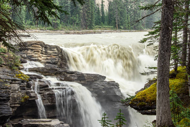 istock Athabasca Falls along the Icefields parkway in Alberta, Canada. 2188285516
